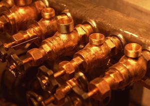 ますます大きくなっていく存在感