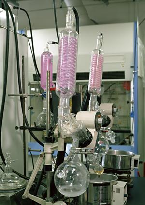 POフィルムの選び方と導入メリット徹底解説｜農業・家庭菜園を成功に導く最適な資材選定法